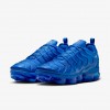 Nike Air VaporMax Plus