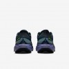 Nike Pegasus 41 GORE-TEX