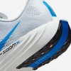 Nike Pegasus Plus