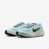 Nike Pegasus 41