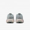 Nike Pegasus 41 GORE-TEX