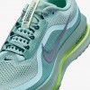 Nike Pegasus Premium
