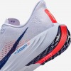 Nike Pegasus Plus