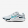 Nike Winflo 11