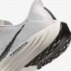 Nike Pegasus Plus