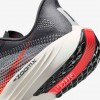 Nike Pegasus Plus