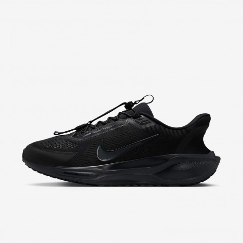 Nike Pegasus EasyOn