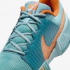 Nike Zoom Challenge