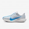 Nike Pegasus Plus