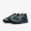 Nike Pegasus 41 GORE-TEX