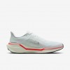 Nike Pegasus 41