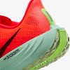 Nike Pegasus Plus