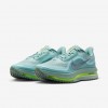 Nike Pegasus Premium