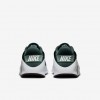 Nike Flex Train