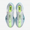 Nike Pegasus Plus