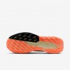 Nike Pegasus Trail 5 GORE-TEX