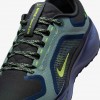 Nike Pegasus 41 GORE-TEX