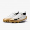 Nike Vapor Speed 3