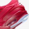 Air Jordan 4 RM