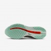 Nike Pegasus Premium