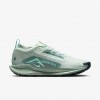 Nike Pegasus Trail 5 GORE-TEX