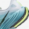 Nike Pegasus Plus