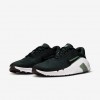 Nike Flex Train