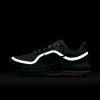 Nike Pegasus Premium