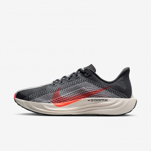 Nike Pegasus Plus