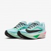 Nike Zoom Fly 6