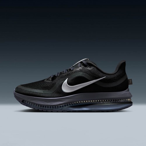 Nike Pegasus Premium