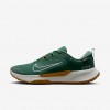 Nike Juniper Trail 2 GORE-TEX