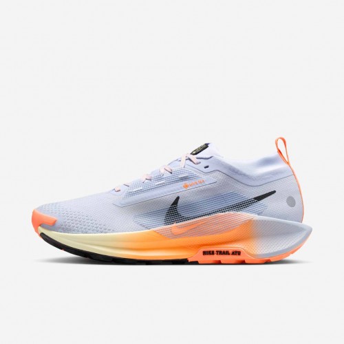Nike Pegasus Trail 5 GORE-TEX