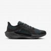 Nike Pegasus 41 GORE-TEX