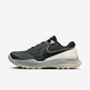 Nike React SFB Carbon Low