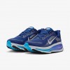 Nike Vomero 18