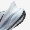 Nike Pegasus EasyOn