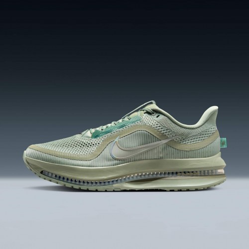 Nike Pegasus Premium