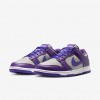 Nike Dunk Low Retro