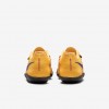 Nike Zoom Rival SD 2