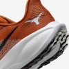 Texas Pegasus 41
