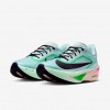 Nike Zoom Fly 6