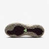 Nike ACG Mountain Fly 2 Low