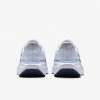 Nike Pegasus 41
