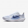 Nike Pegasus 41