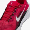 Ohio State Pegasus 41
