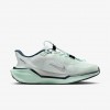 Nike Pegasus EasyOn
