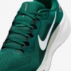 Philadelphia Eagles Pegasus 41