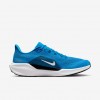 Carolina Panthers Pegasus 41
