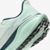 Nike Pegasus 41